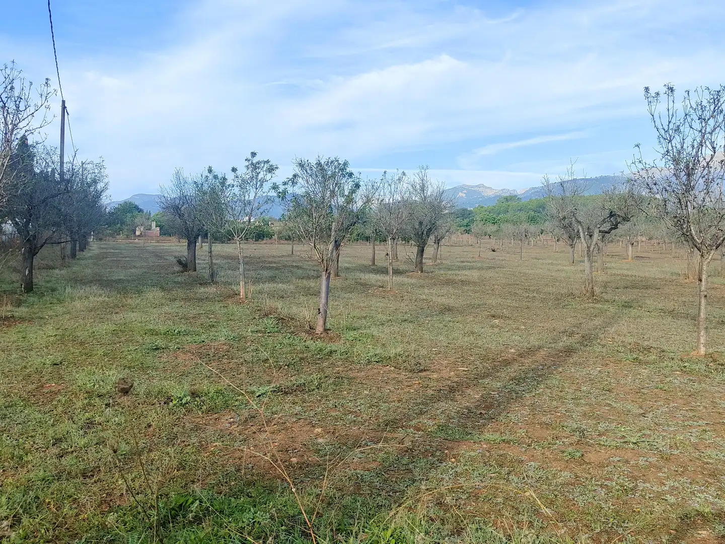 Terrain rustique à vendre à Camí Moscari 26, imagen 27
