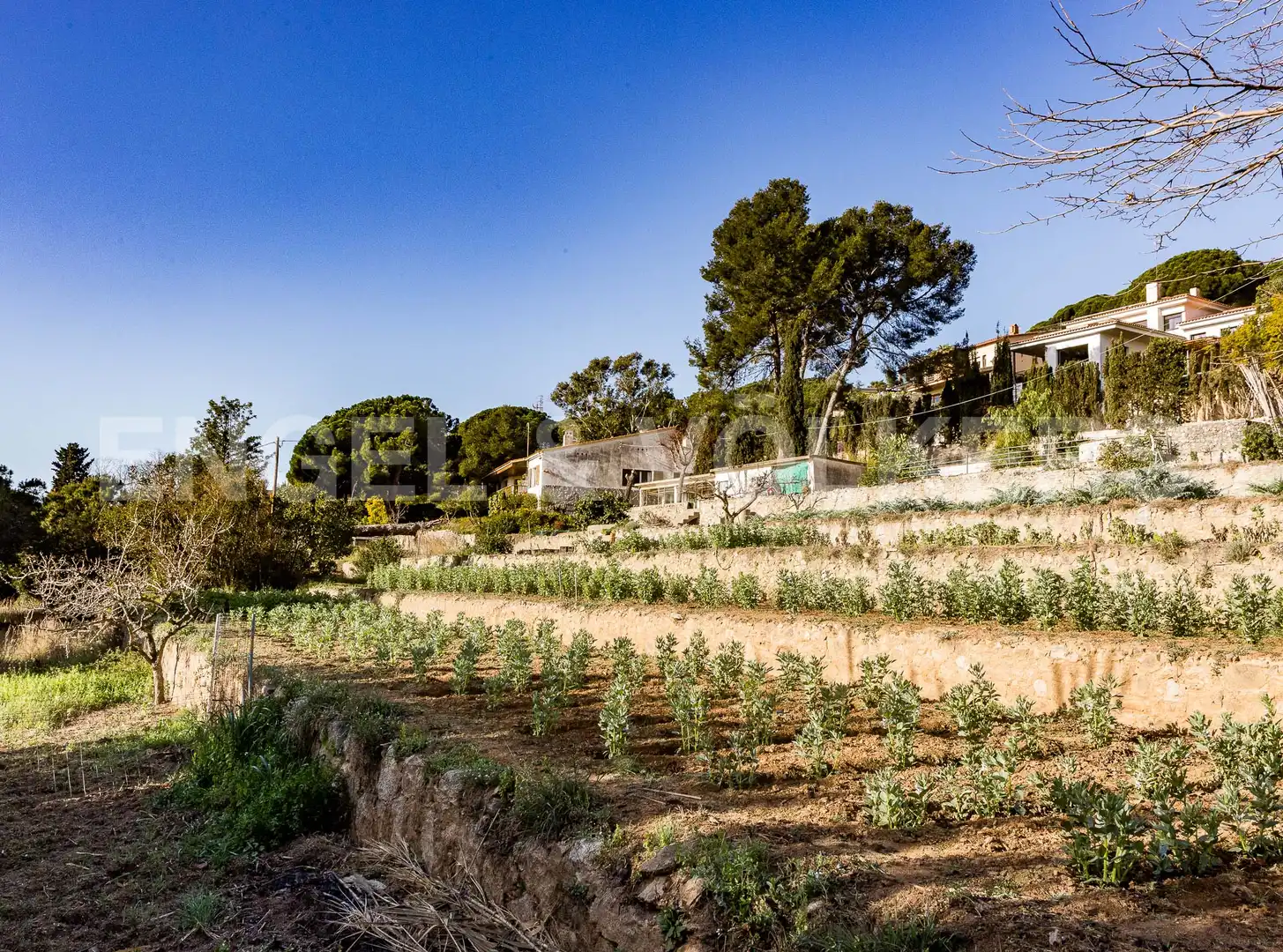 Casa amb terrassa en venda a Premià de Dalt, imagen 45
