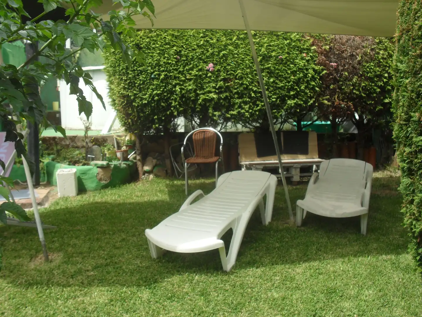 Jardí de Casa o xalet en venda en Vigo  amb Jardí privat, Terrassa i Traster