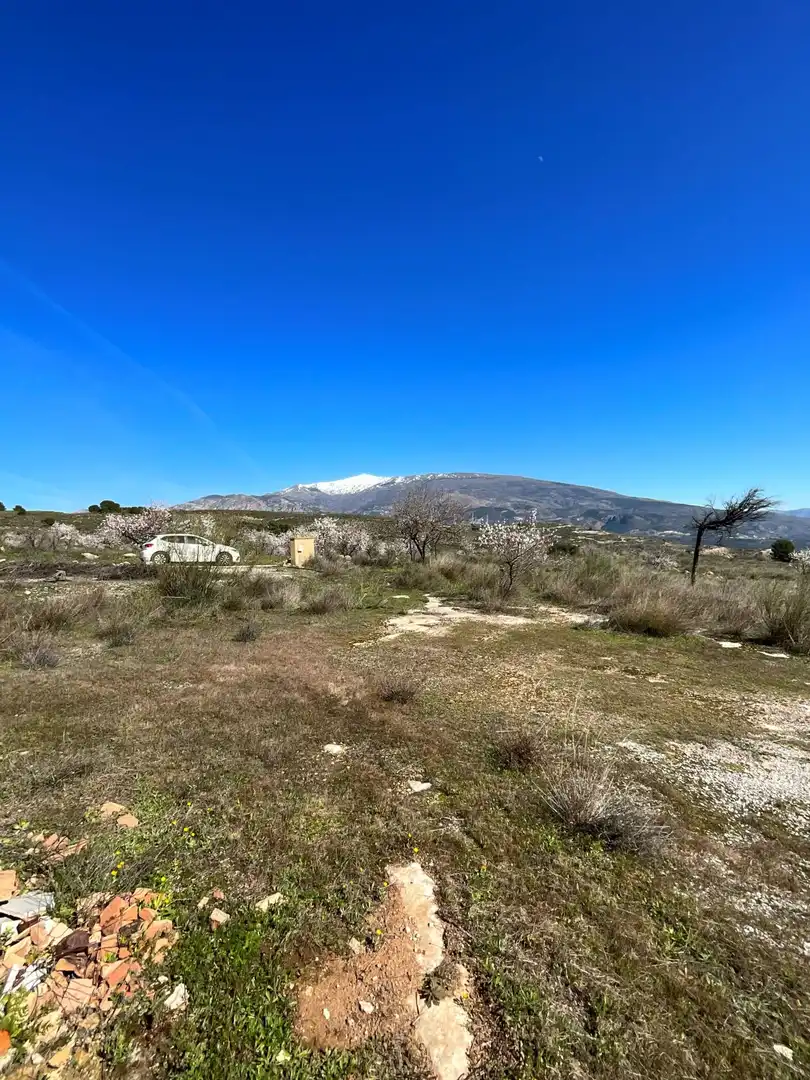 Terreni e lotti in vendita a El marchal, El valle, imagen 15