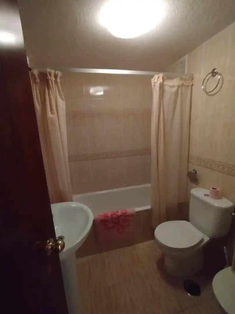 Piso con terraza en venta en Cruz de Humilladero, imagen 20