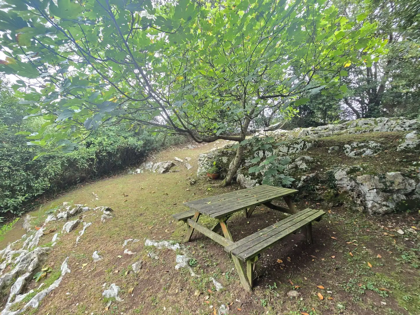 Maison avec jardin à vendre à Posada - Barro, imagen 23