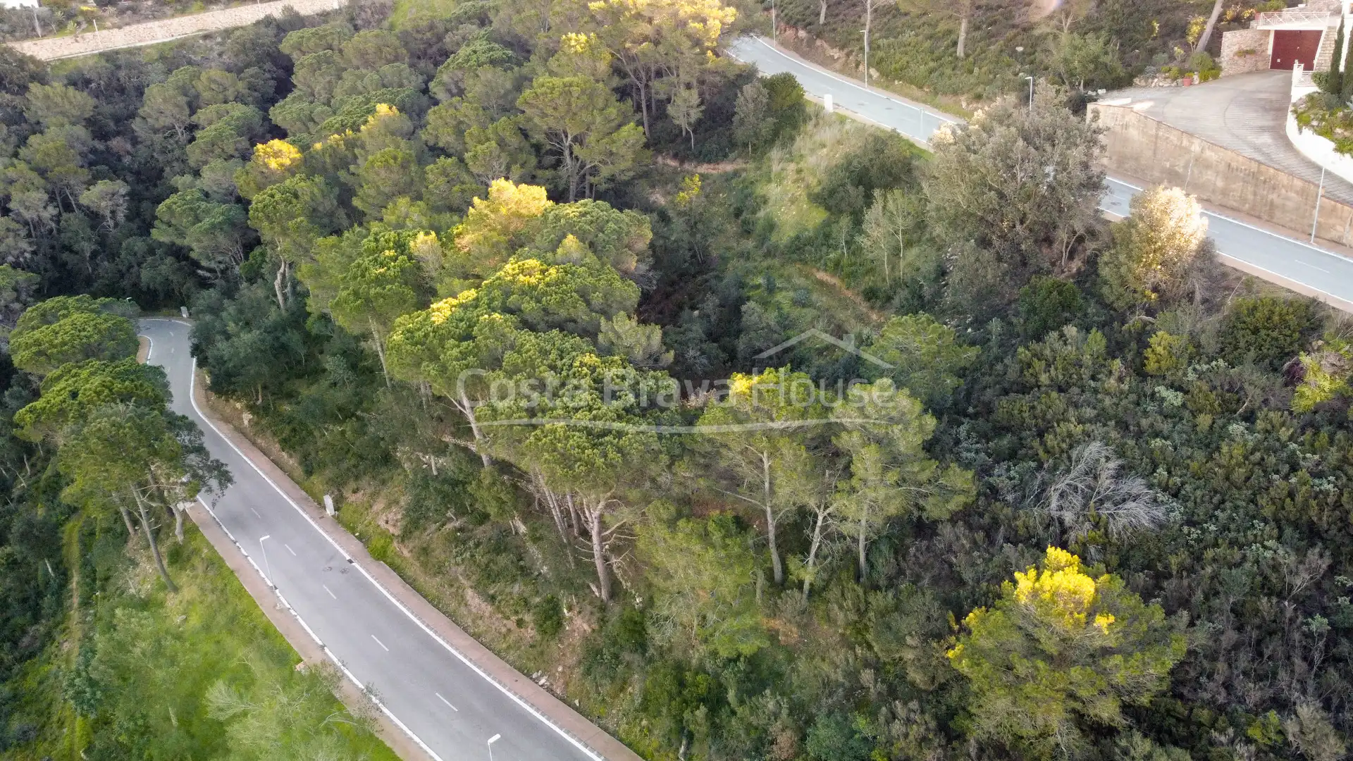 Terrenos y solares en venta en Carrer de Son Rich, imagen 6