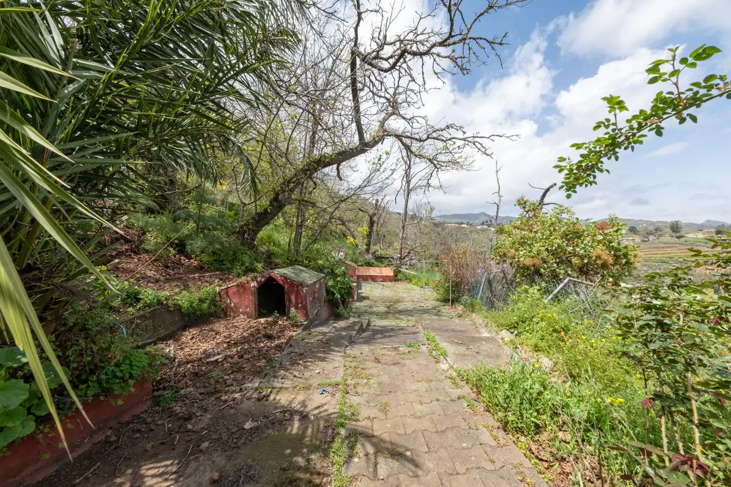 Haus zum Verkauf in Vega de San Mateo, imagen 11