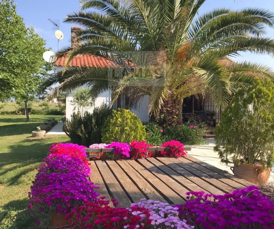 Jardí de Finca rústica en venda en Belvís de Monroy amb Aire condicionat, Jardí privat i Piscina