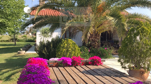 Foto 3 de Finca rústica en venda a Diseminado Dehesa Los Pinos, Belvís de Monroy, Cáceres