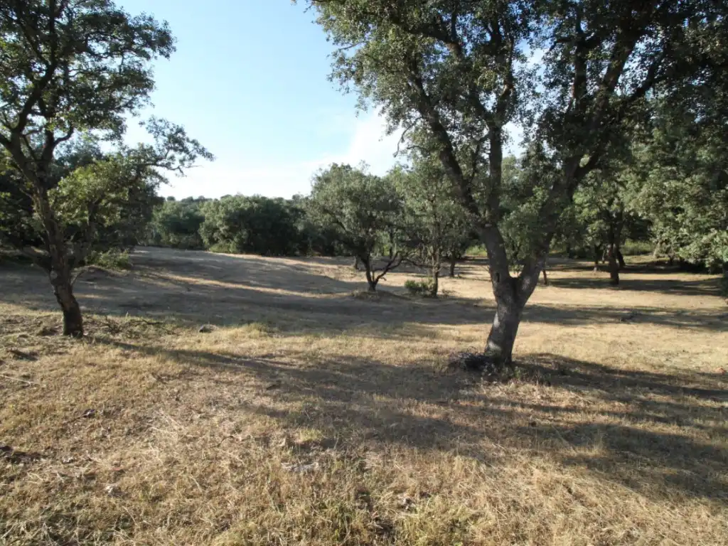 Residential land for sale in Ciudalcampo, imagen 12