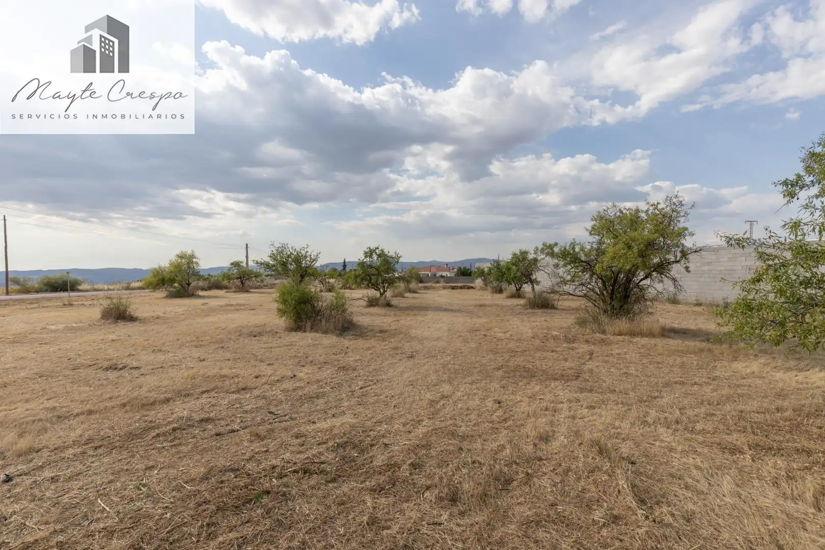 Rural land for sale in Moraleda de Zafayona, imagen 16