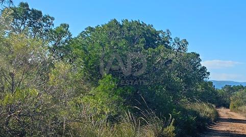 Photo 2 of Land for sale in Aviles, Lorca