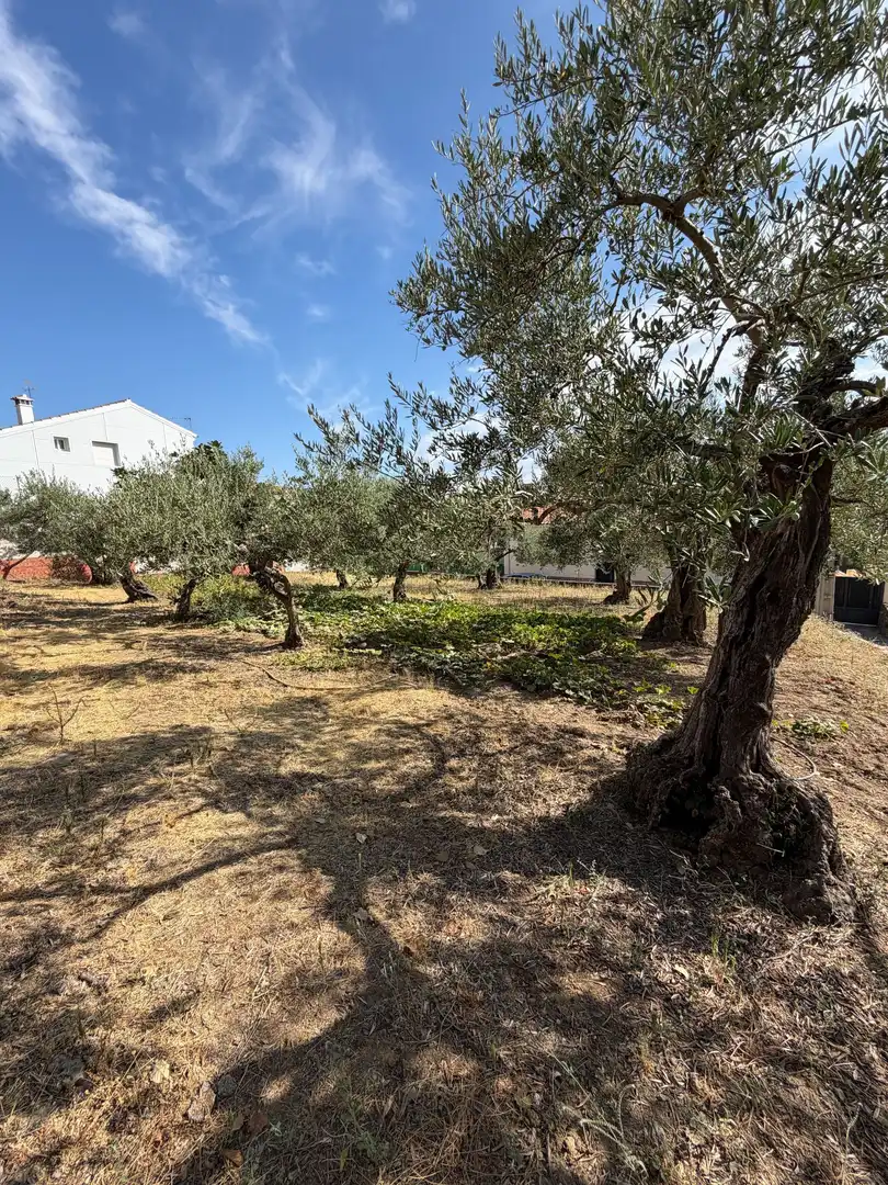Terreni e lotti in vendita a Malpartida de Plasencia, imagen 6