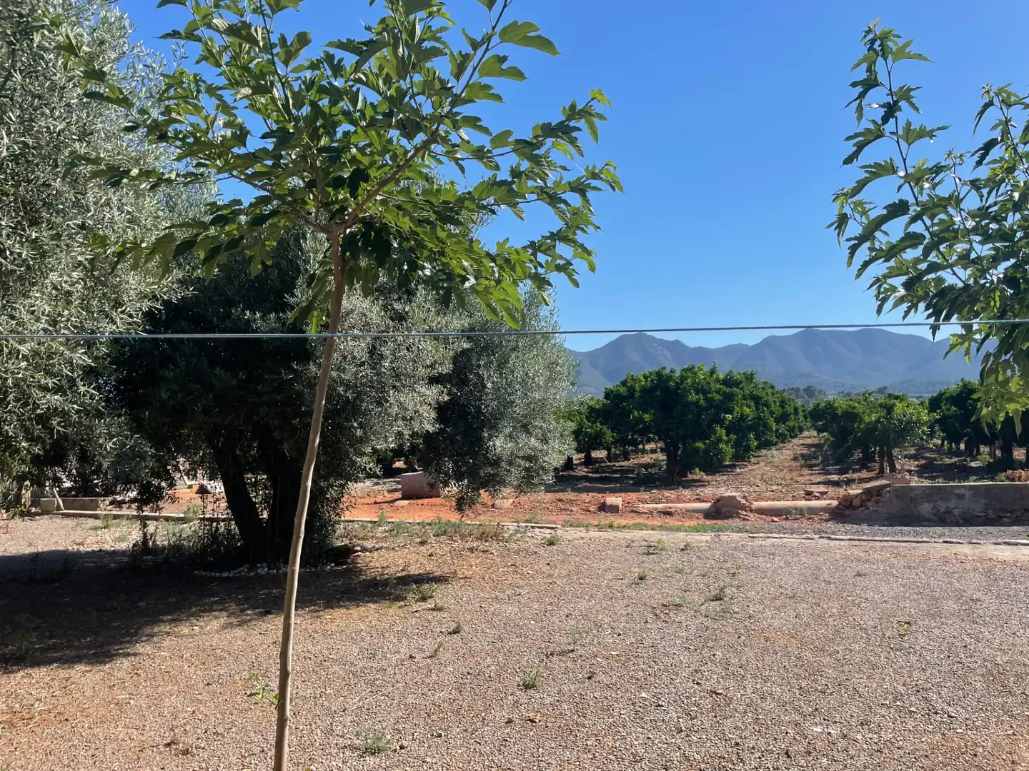 Casa o xalet en venda en Betxí amb Jardí privat, Terrassa i Piscina
