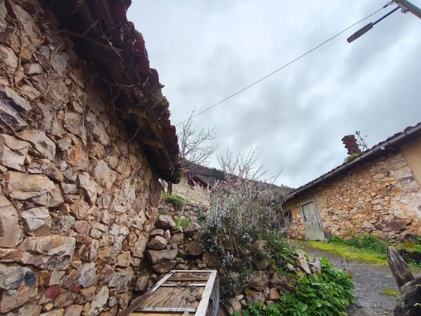 Vista exterior de Casa o chalet en venta en Proaza con Piscina