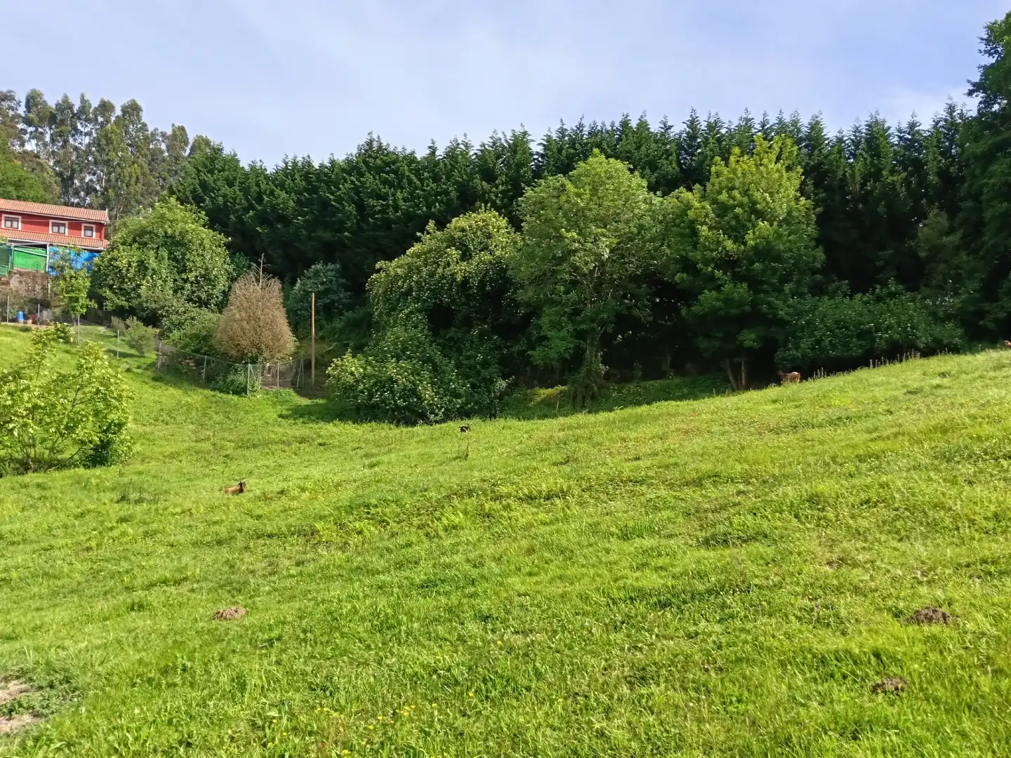 Adossat amb jardí en venda a Oza dos Ríos, imagen 18