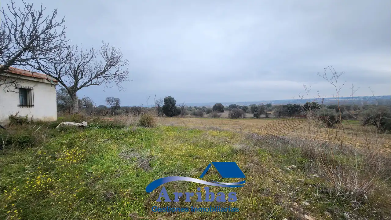 Country homes for sale in Escalona