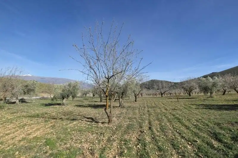 Terreno rustico in vendita a El Valle, imagen 30