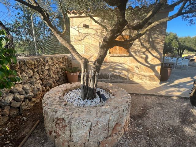 Terreno residencial en Venta en Maria de la Salut