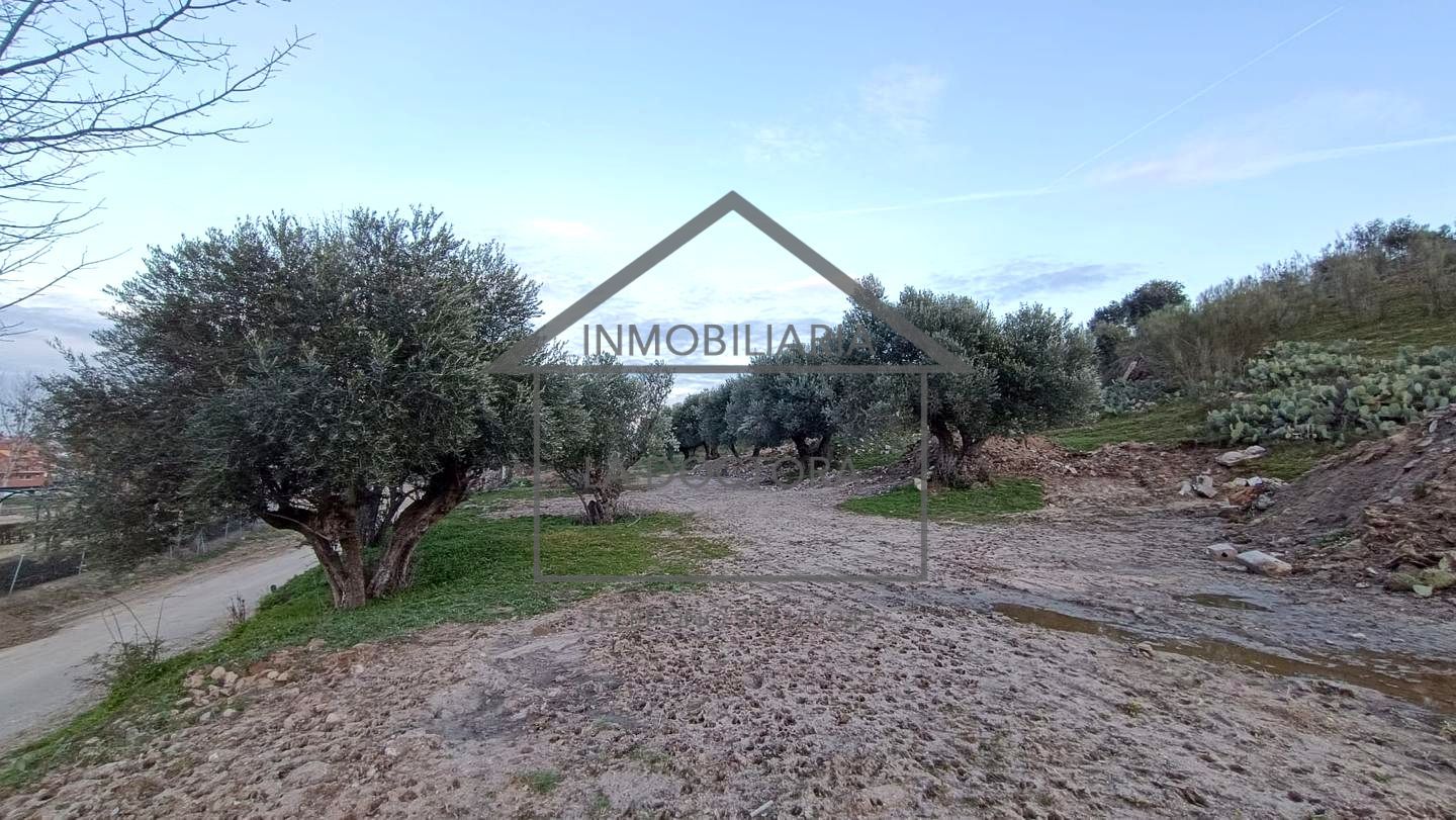 Residential zum verkauf in Villamanta