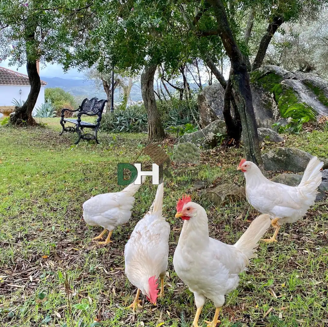 Xalet amb piscina en venda a Rinconada, imagen 32
