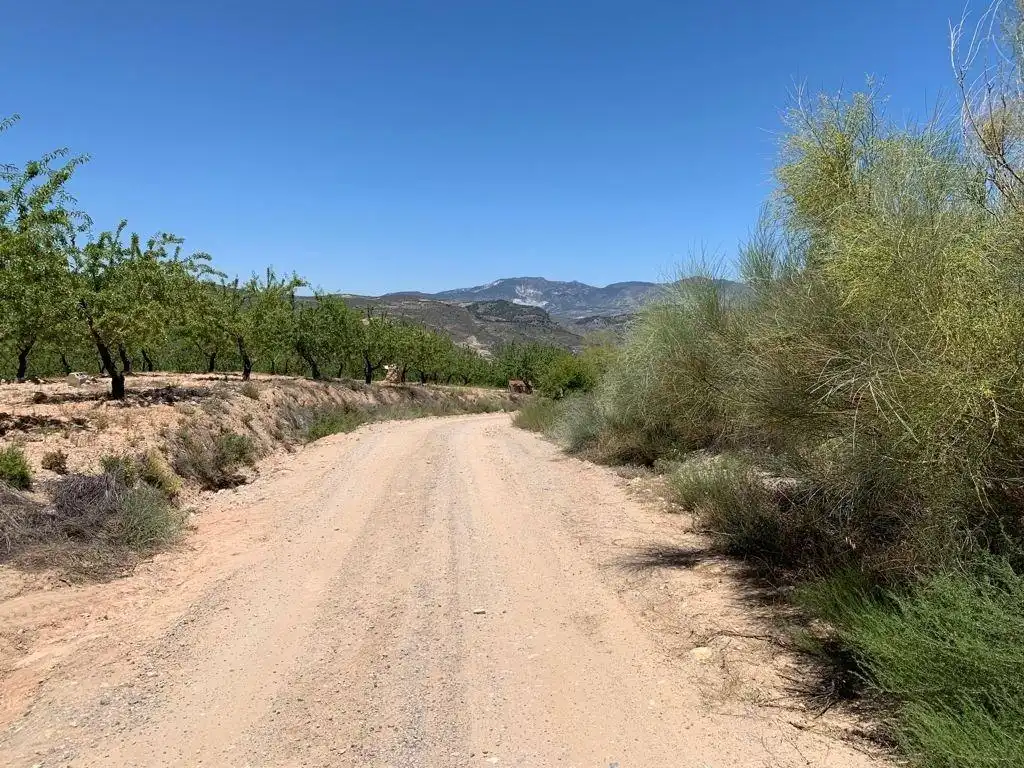 Terreno residencial en venta en Las Flores - Huerta, imagen 10