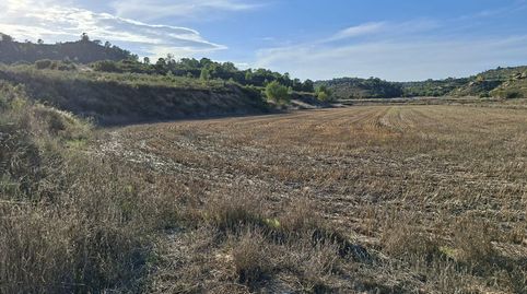 Foto 3 de Finca rústica en venta en N/a, -1, Maella, Zaragoza