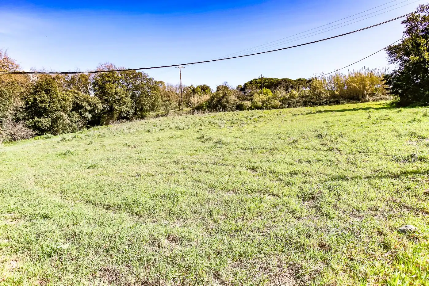 Finca rústica en venta en Sant Antoni de Vilamajor