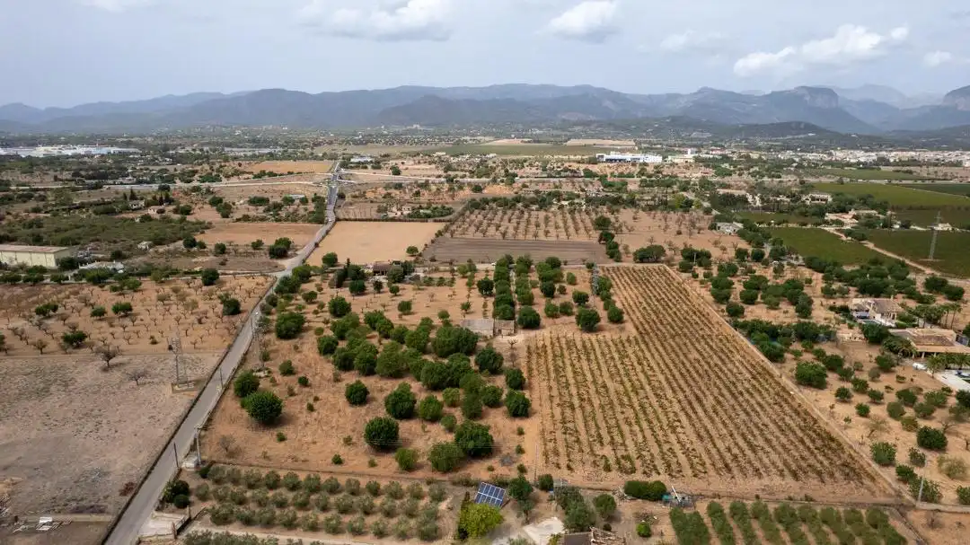 Land for sale in Consell