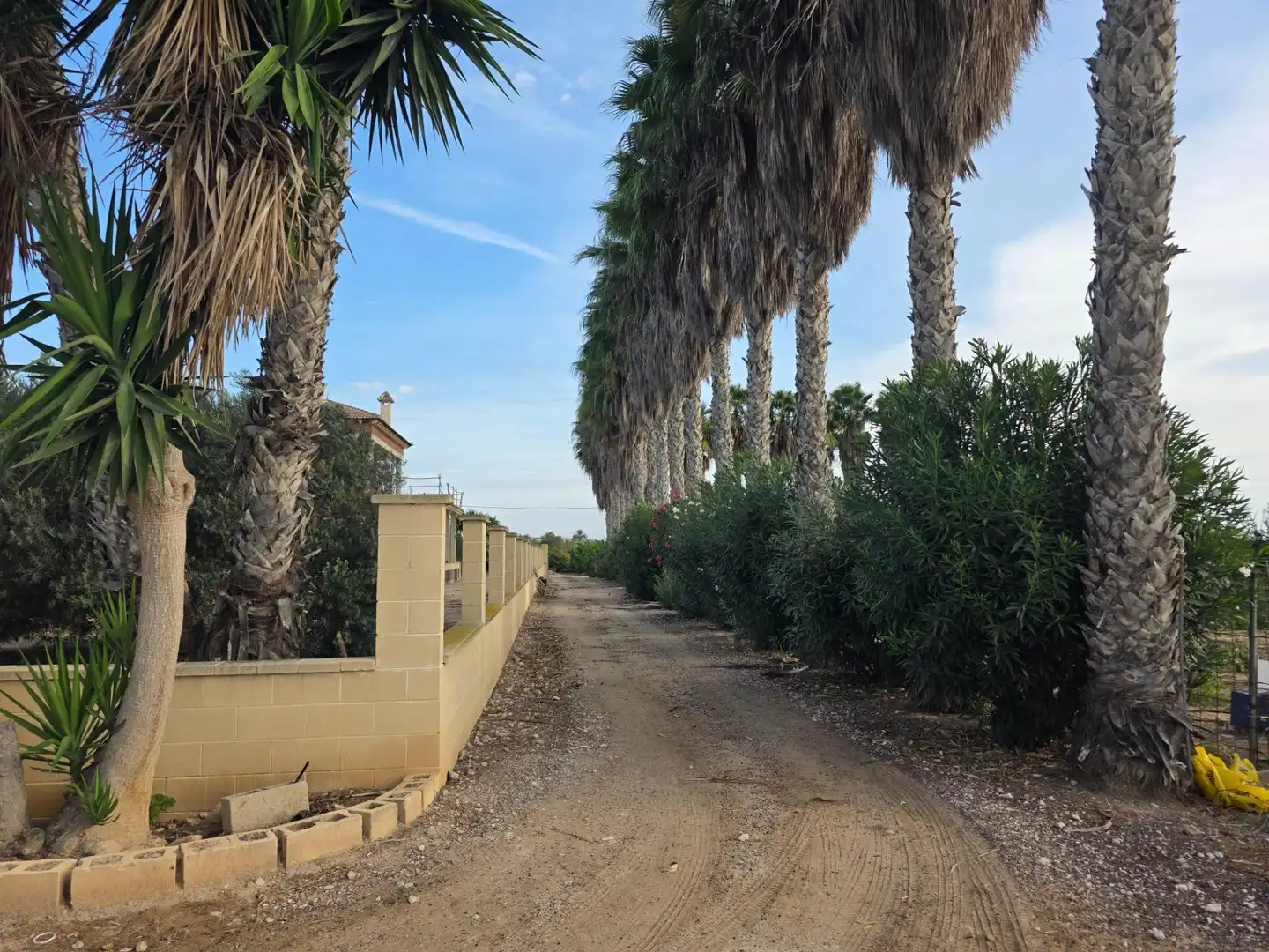 Rural land for sale in Carretera PEREZ LOS, imagen 33