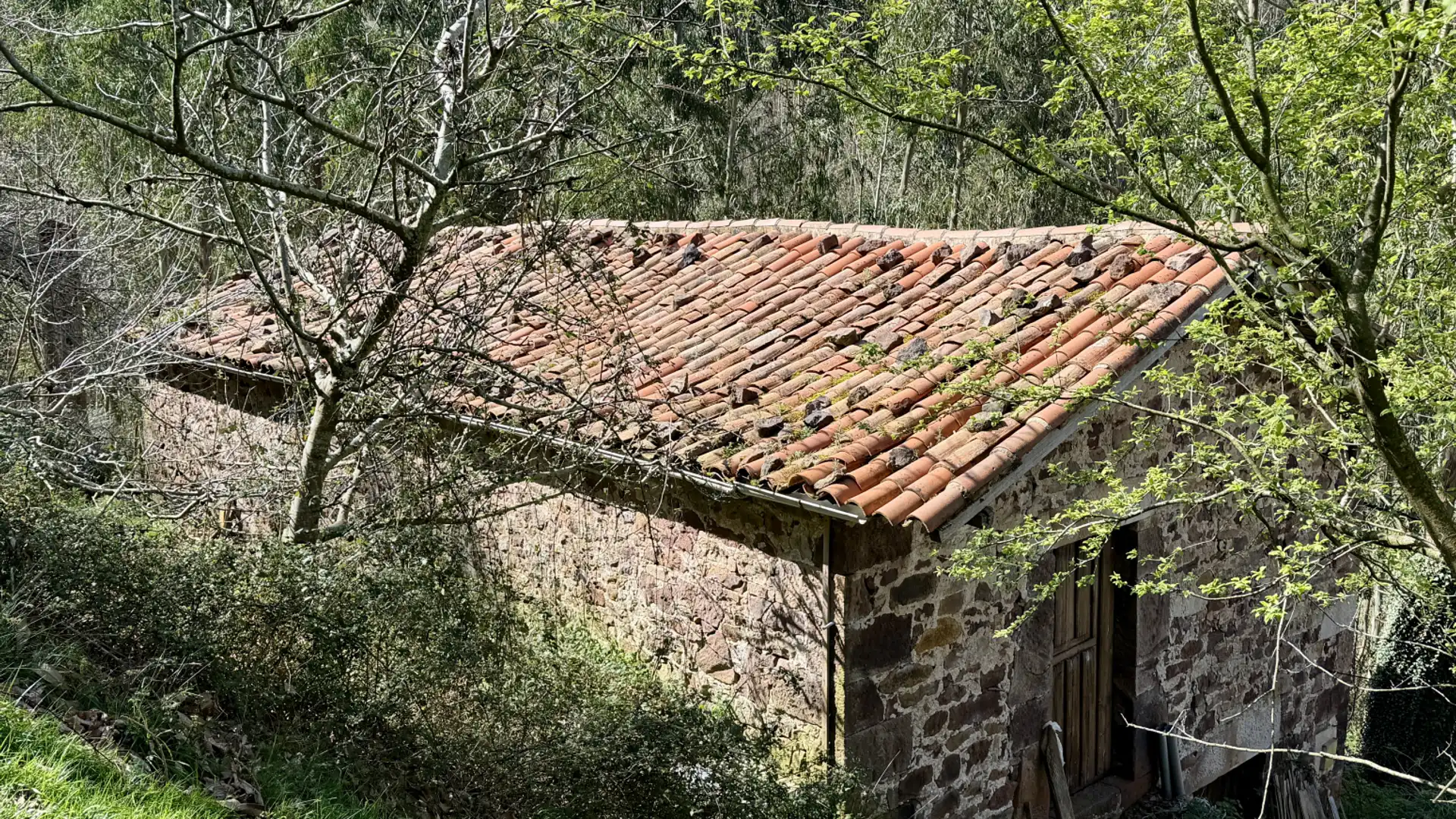 Vista exterior de Casa o chalet en venta en Liérganes