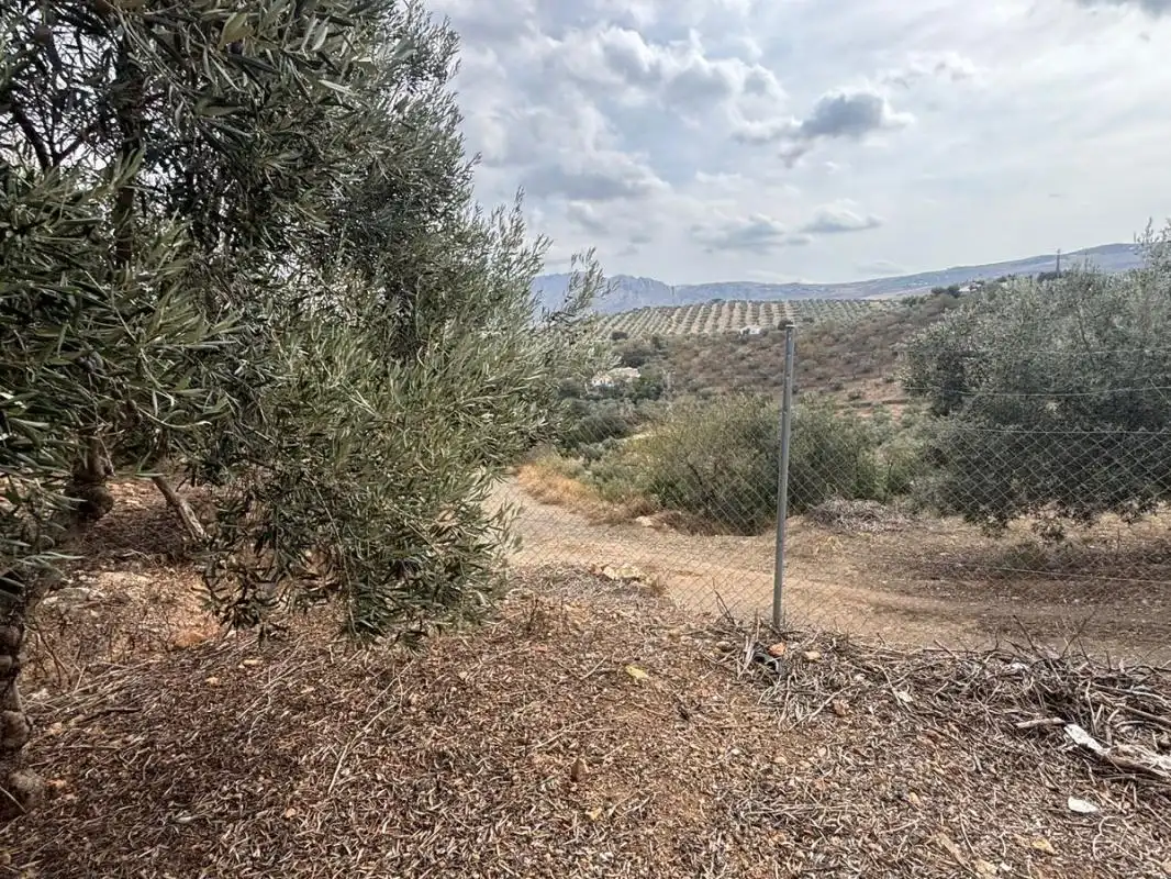 Casa rústica con jardín en venta en Polígono 133 Parcela 66 LAGUNILLAS, imagen 51