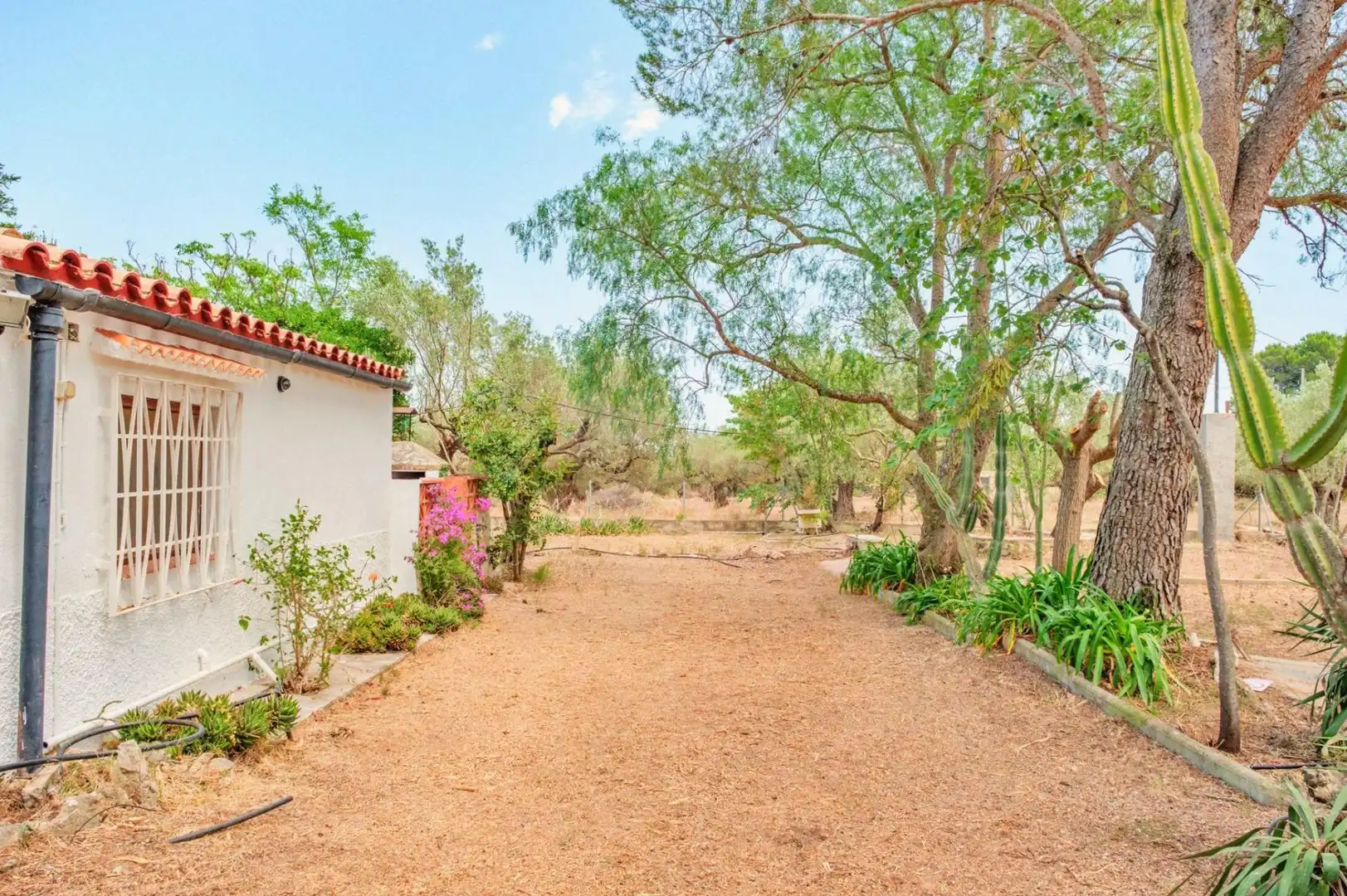 Jardí de Casa o xalet en venda en Tortosa amb Jardí privat