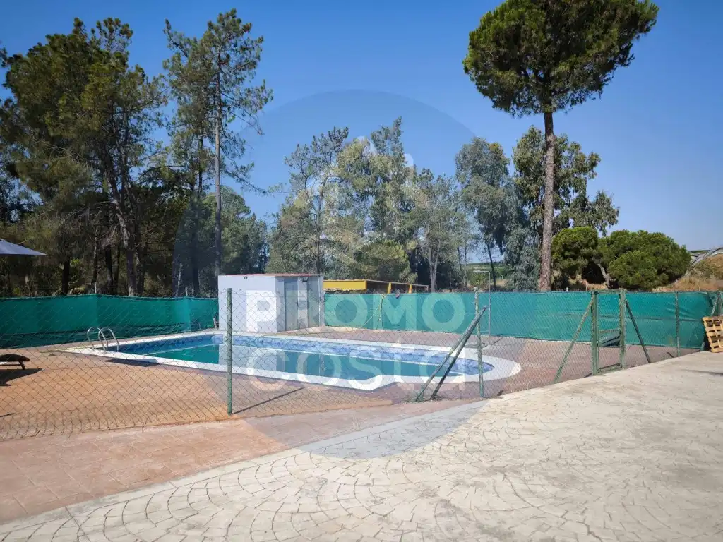 Swimming pool of Country homes for sale in Gibraleón, Huelva