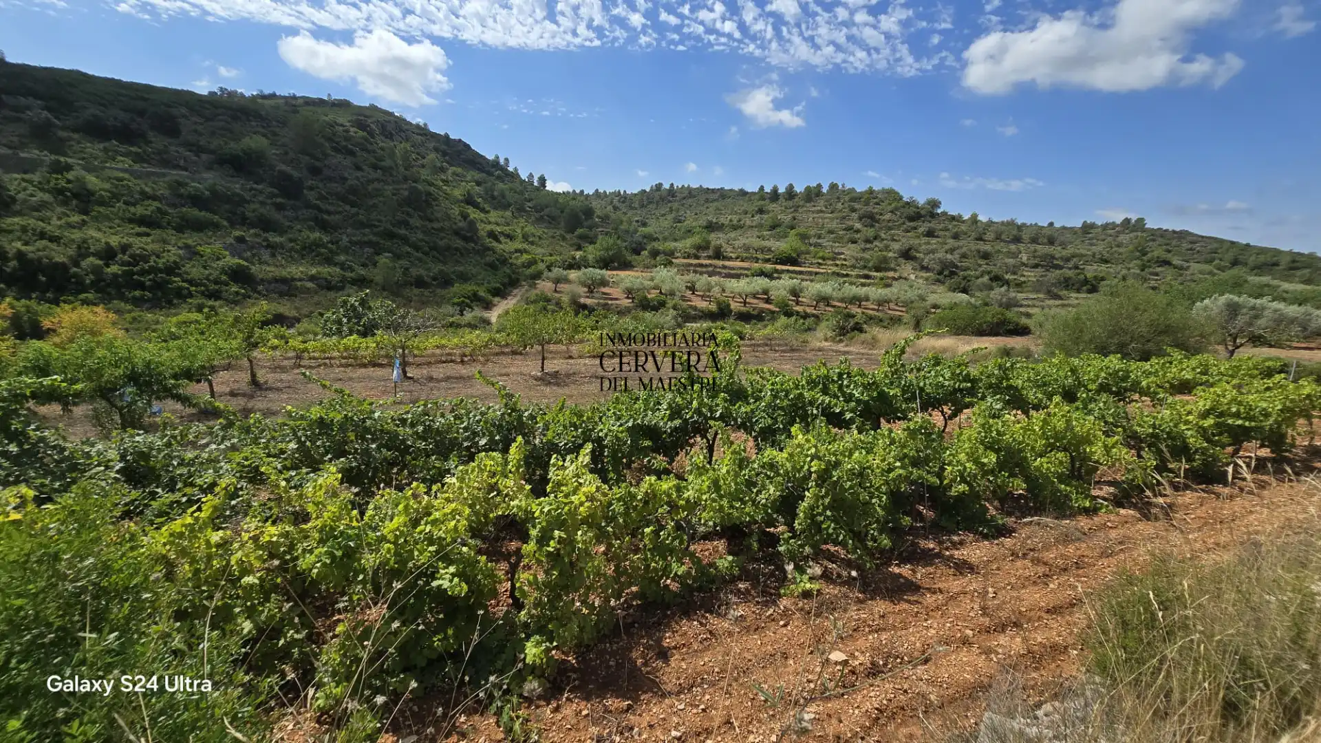 Terreno rustico in vendita a Cervera del Maestre