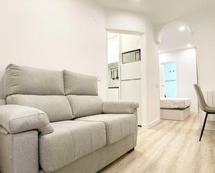 Sala d'estar de Pis de lloguer en  Madrid Capital amb Moblat, Rentadora i Microones