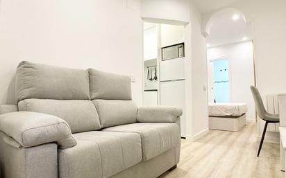 Living room of Flat to rent in  Madrid Capital  with Furnished, Washing machine and Microwave