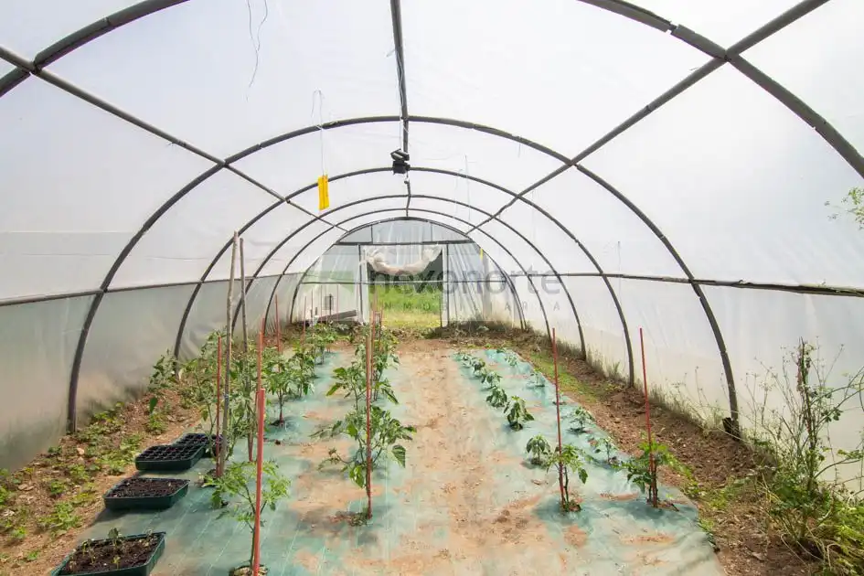 Jardín de Finca rústica en venta en Ortigueira con Trastero