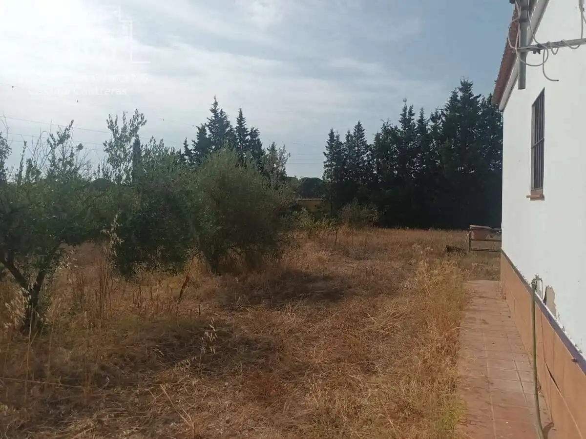 Casa rústica amb jardí en venda a Almonte ciudad, imagen 14