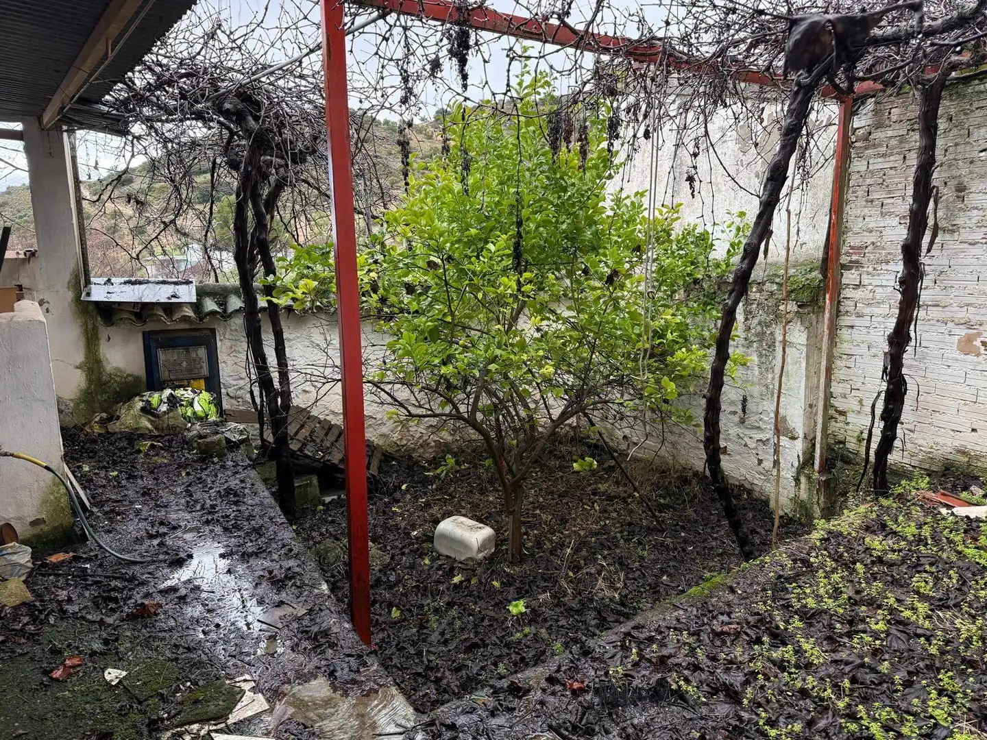 Terreno en venta en Villanueva de Algaidas