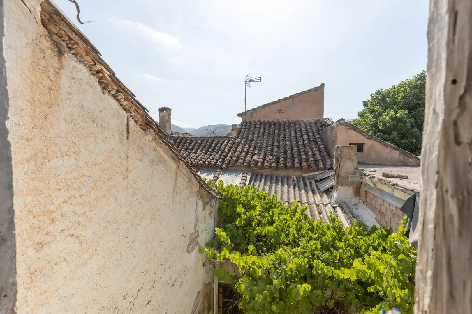 Vista exterior de Casa o chalet en venta en Albuñuelas con Terraza