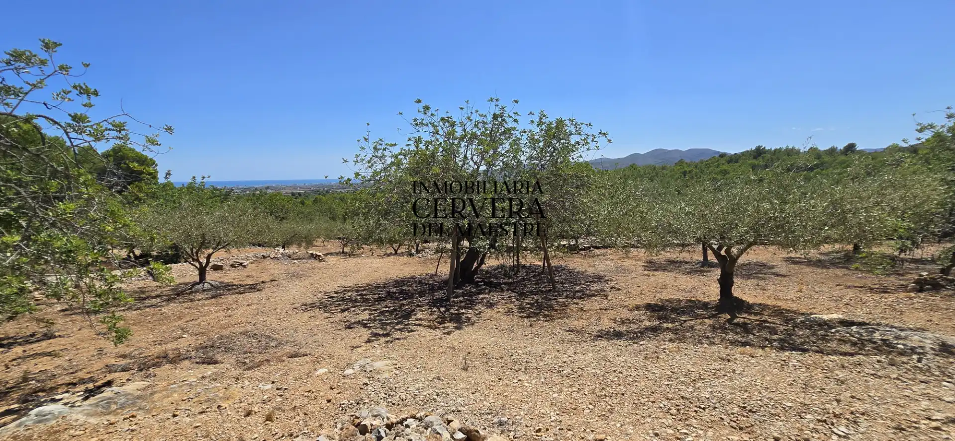 Rural land for sale in Vía Po Polígono 17 60, imagen 15
