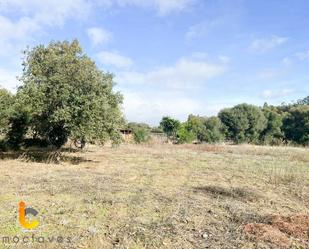 Finca rústica en venda en Jimena de la Frontera amb Terrassa