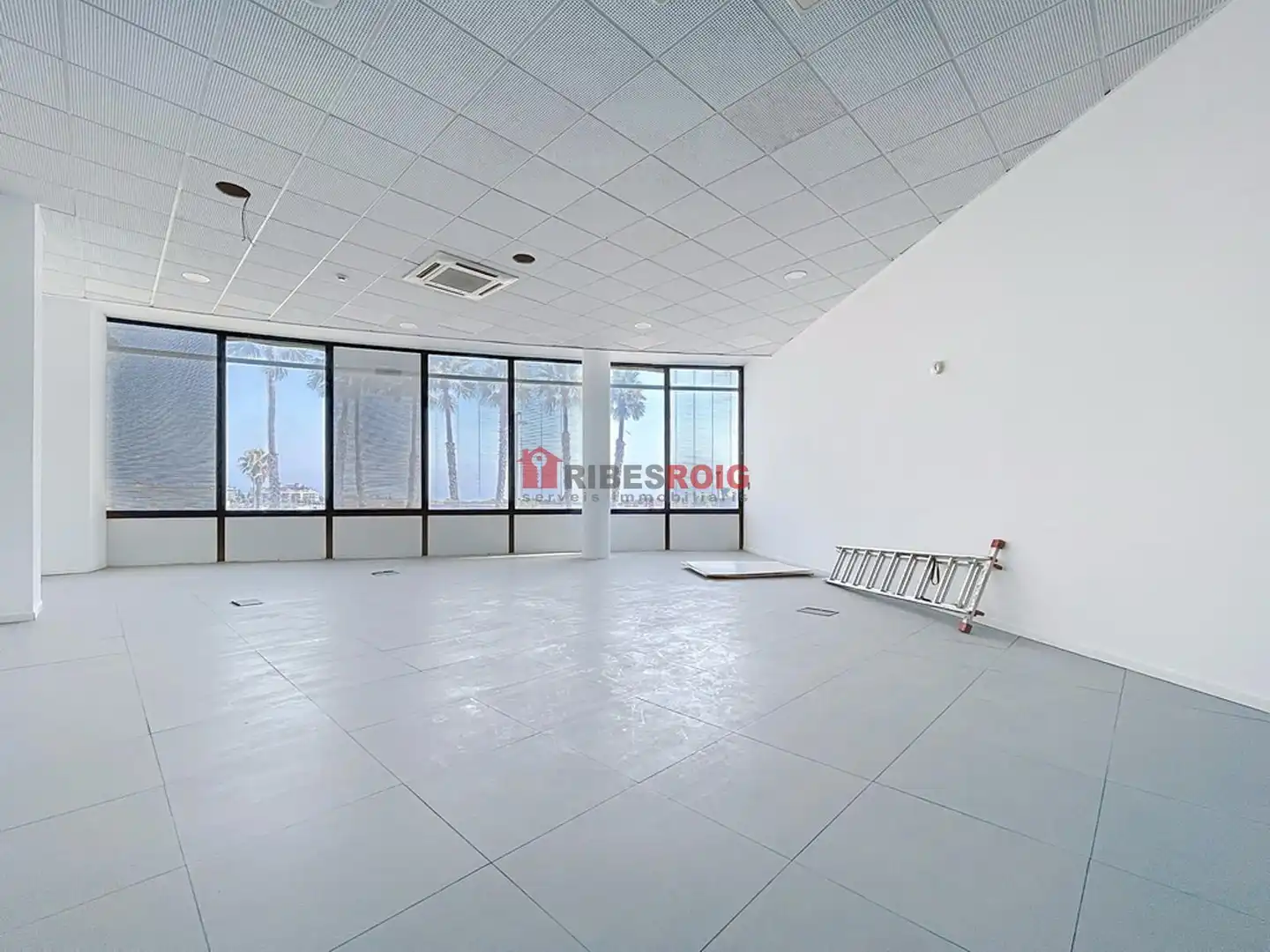 Bureau avec ascenseur à vendre à Europa, imagen 3