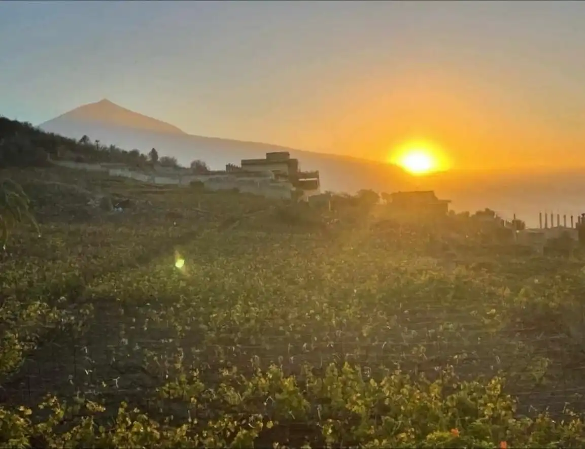Vista exterior de Finca rústica en venda en La Orotava amb Terrassa