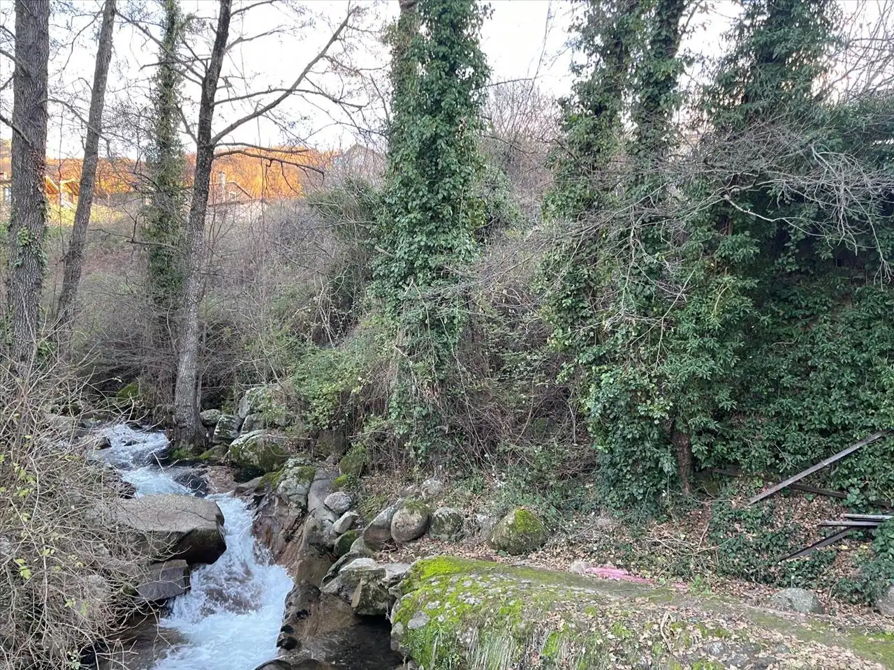 Vista exterior de Terreno en venta en Casas del Monte