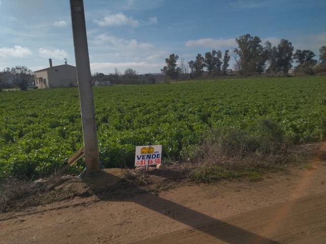 Terreno en Venta en Mengabril