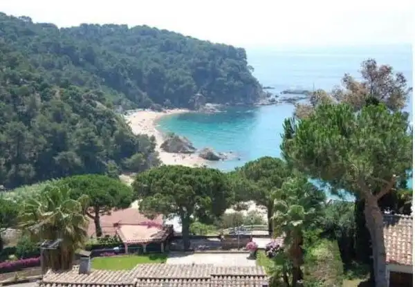 Jardí de Casa o xalet en venda en Lloret de Mar