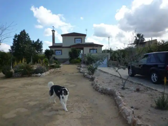 Villa avec terrasse à vendre à Algorfa, imagen 10