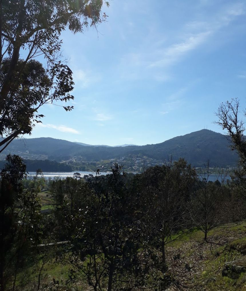 Vista exterior de Residencial en venda en O Rosal  