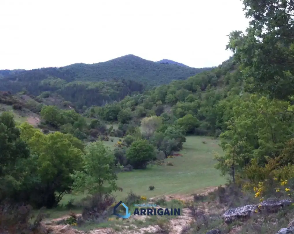 Casa o chalet en venta en La Moraleja con Jardín privado