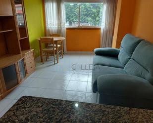 Sala d'estar de Apartament de lloguer en Ourense Capital  amb Calefacció, Parquet i Traster
