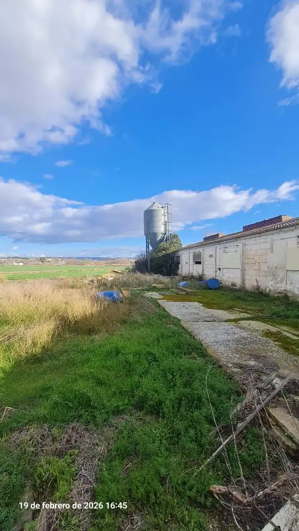 Land for sale in Tauste
